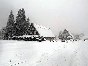 Nagoya - Excursion a Shirakawa via Takayama - 164